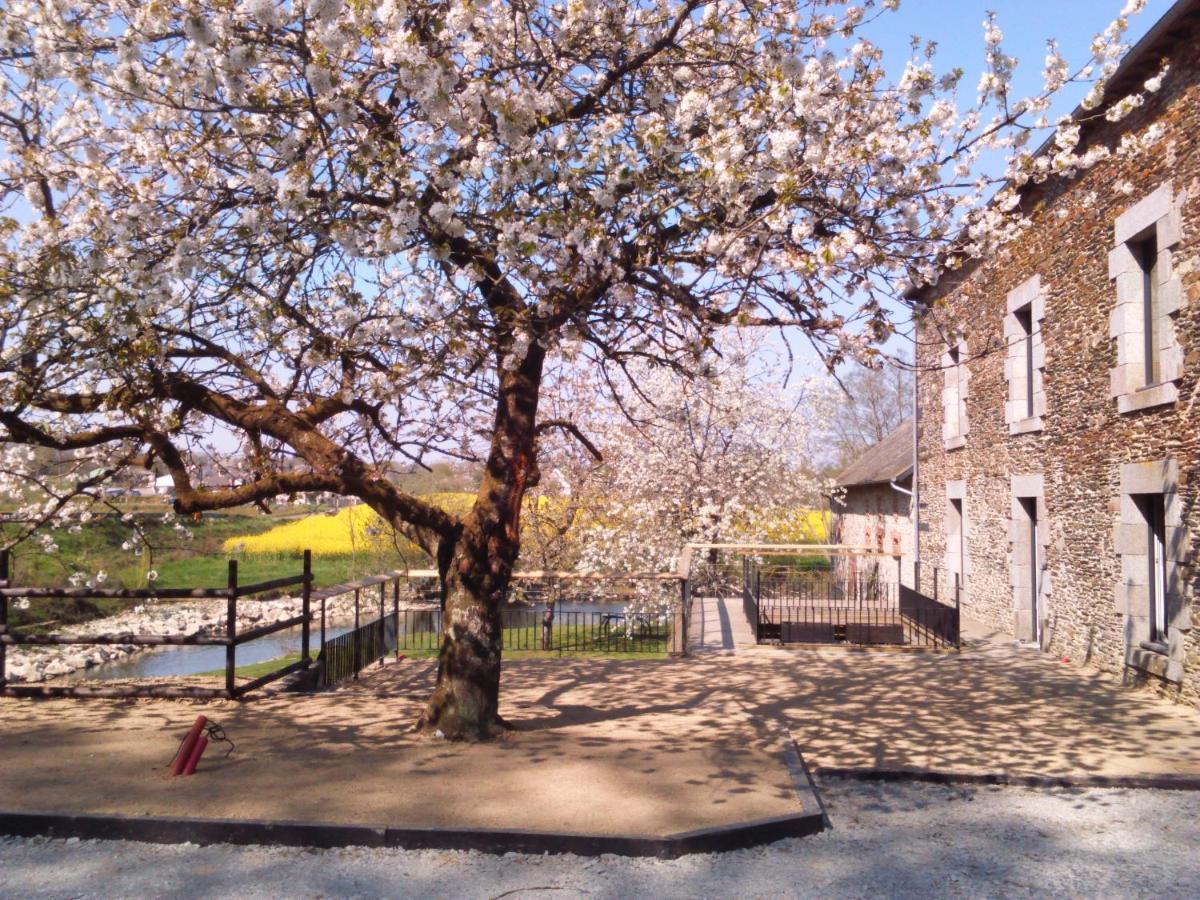 Saint-Aubin-des-LandesLe Moulin De Bretigneul住宿加早餐旅馆 外观 照片